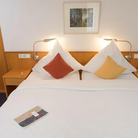 Hotel Hotel-restaurant Anne-sophie Künzelsau