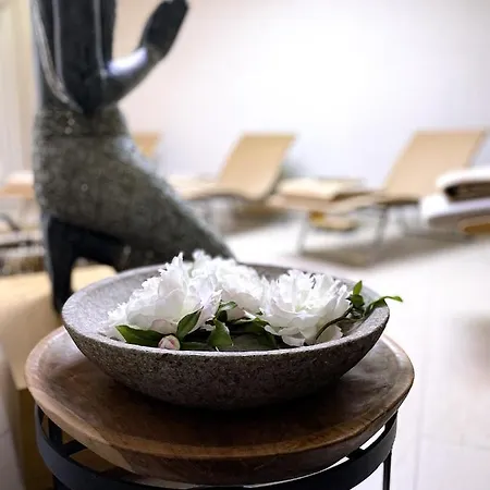 Hotel-restaurant Anne-sophie 4*