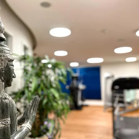 Hotel-restaurant Anne-sophie מלון 4*