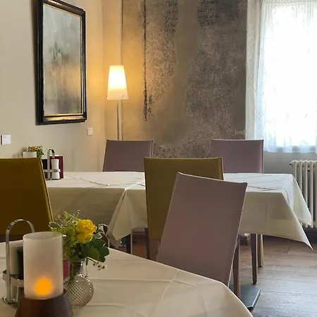 Hotel-restaurant Anne-sophie ホテル
