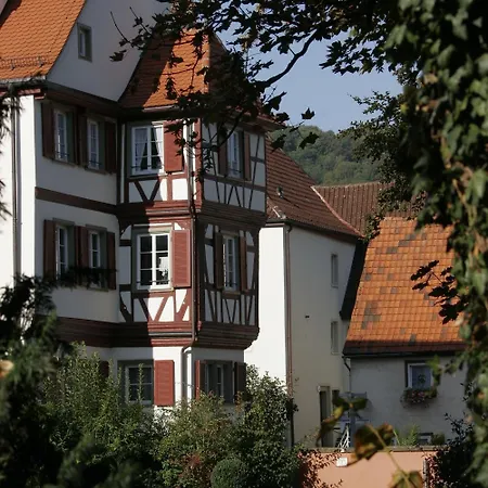 Hotel-restaurant Anne-sophie ホテル 4*