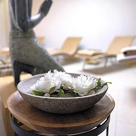 安妮-索菲酒店及餐厅 酒店 金策尔斯奥